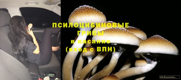 эйфоретик Балахна
