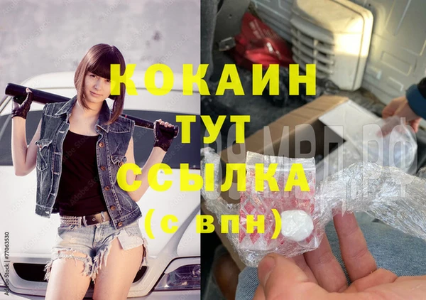 шишки Баксан