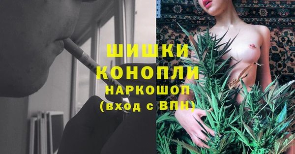 эйфоретик Балахна