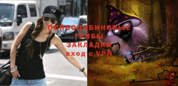 шишки Баксан