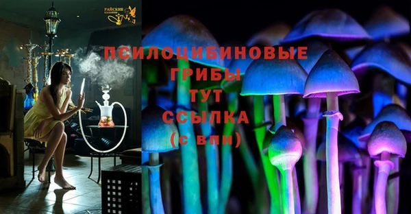 эйфоретик Балахна